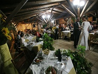 IMG 4013